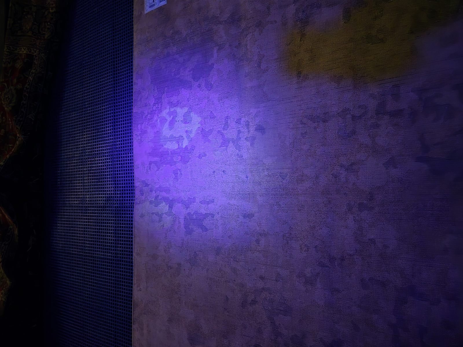 Back of an area rug under UV blacklight showing pale fluorescing patches where dried urine salts glow